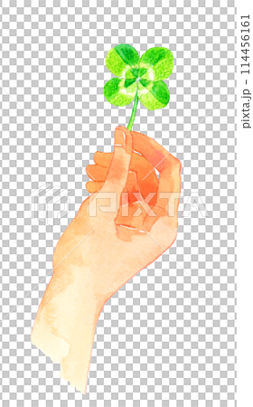四つ葉のクローバーを持つ手　人の手の手描き水彩イラスト素材 114456161