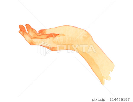 手のひらを上に向ける 人の手の手描き水彩イラスト素材 手のひらを上に向ける 人の手の手描き水彩イラスト素材 114456197