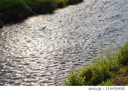 賀茂川の風景 114456498