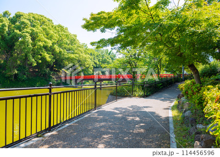 天王寺公園の風景 天王寺公園の風景 114456596
