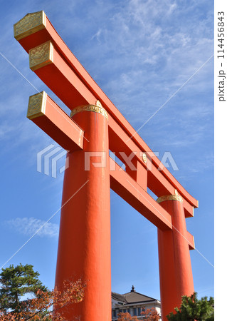 平安神宮の大鳥居 114456843