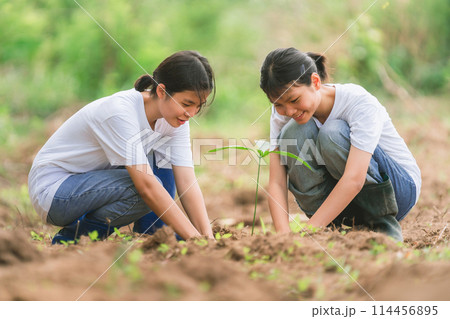 Two young girls are planting a tree together Two young girls are planting a tree together 114456895
