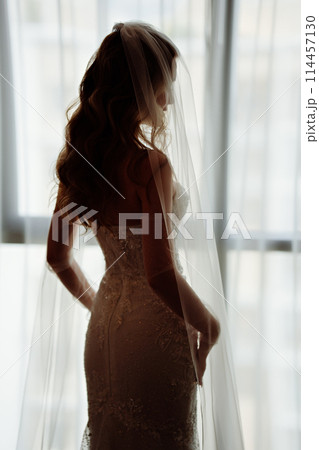 a beautiful, delicate and sexy blonde bride in a veil by the window 114457130