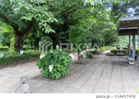 赤山城周辺（赤山歴史自然公園） 114457438