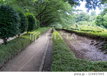 赤山城周辺（赤山歴史自然公園） 114457445
