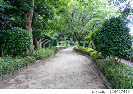 赤山城周辺(赤山歴史自然公園) 赤山城周辺(赤山歴史自然公園) 114457448