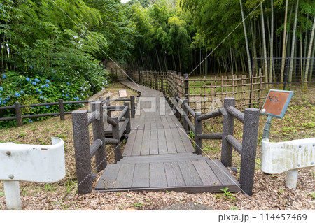 赤山城周辺（赤山歴史自然公園） 114457469