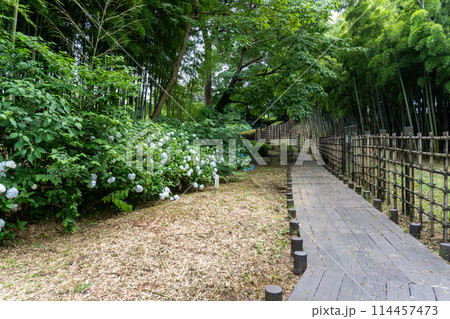 赤山城周辺（赤山歴史自然公園） 114457473