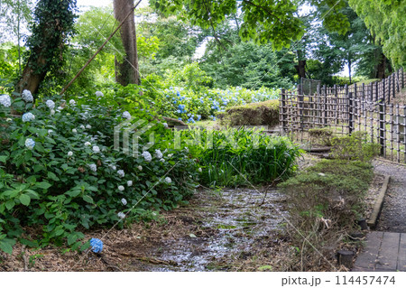 赤山城周辺（赤山歴史自然公園） 114457474