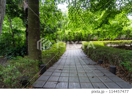 赤山城周辺(赤山歴史自然公園) 赤山城周辺(赤山歴史自然公園) 114457477