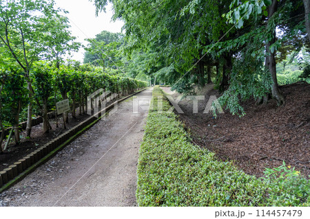 赤山城周辺（赤山歴史自然公園） 114457479