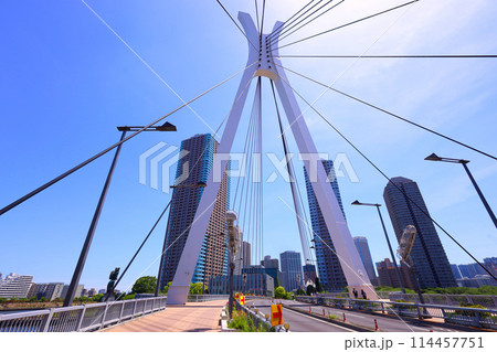 東京都中央区 中央大橋 東京都中央区 中央大橋 114457751