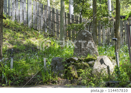 新緑の京都　貴船神社結社　和泉式部歌碑 114457810