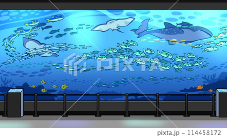 たくさんの魚が泳ぐ水族館の背景 114458172