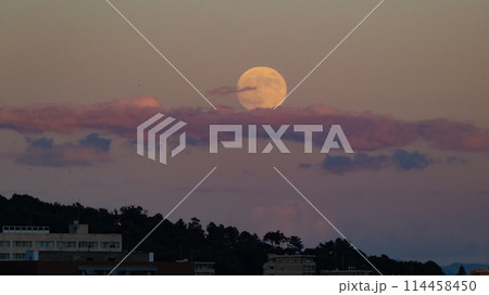浮かぶ満月 114458450