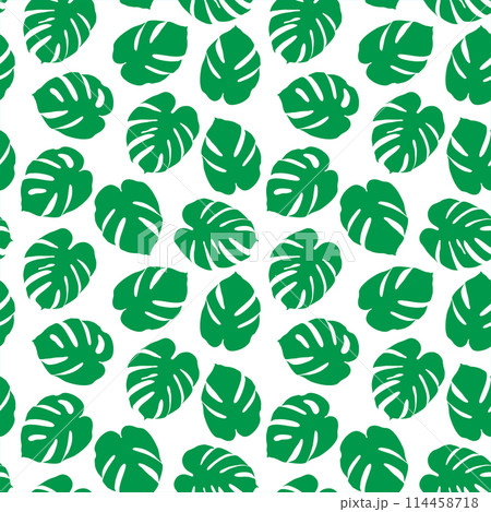Tropical summer seamless pattern. Monstera palm leaves green silhouette on white background. Vector illustration 114458718
