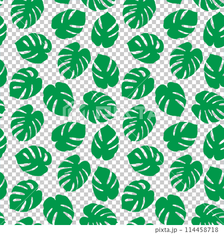 Tropical summer seamless pattern. Monstera palm leaves green silhouette on white background. Vector illustration 114458718