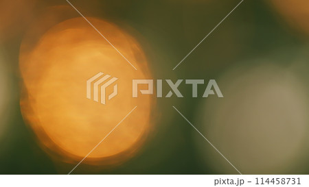 Spectacular Sunset Shining Through A Forest Silhouette In Spring. Beautiful Nature Background. Bokeh. Spectacular Sunset Shining Through A Forest Silhouette In Spring. Beautiful Nature Background. Bokeh. 114458731