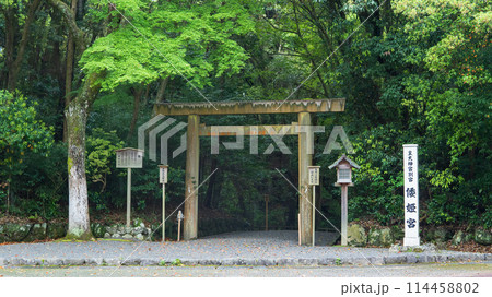 皇大神宮別宮の倭姫宮の表参道入口【伊勢神宮】奈良県伊勢市 皇大神宮別宮の倭姫宮の表参道入口【伊勢神宮】奈良県伊勢市 114458802