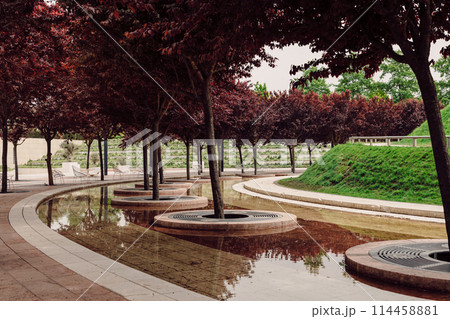 Park with modern design and trees with red foliage and an artificial pond Park with modern design and trees with red foliage and an artificial pond 114458881