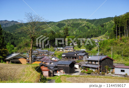 滋賀県高島市の畑地区の初夏の風景です 114459017