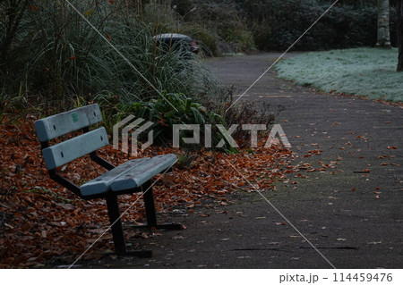Autumn park bench surrounded by trees and grass, a serene spot for relaxation in nature 114459476