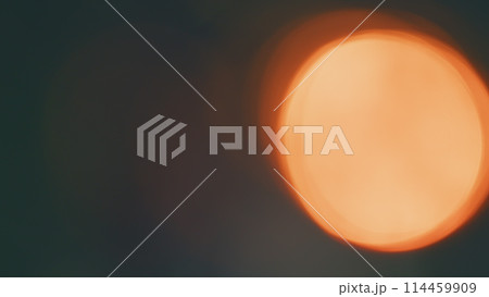Beautiful Sunny Abstract Blurry Autumn Landscape. Forest Green Background. Autumn Bokeh Background. Blur. 114459909