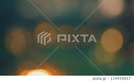 Natural Abstract Background Sunny Spring Day. Sunset Sunlight Through Branches. Nature Concept. Blur. Natural Abstract Background Sunny Spring Day. Sunset Sunlight Through Branches. Nature Concept. Blur. 114459917