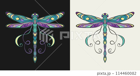 Fantasy colored dragonfly with curled antennae, stretched wings in Art Nouveau style. Single isolated colorful illustration in vintage style. Top view. 114460082