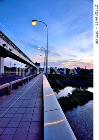 東京都日野市　立日橋から見る美しい朝の景色 114460212