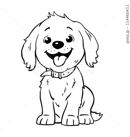 Cute domestic dog on white background Cute domestic dog on white background 114460411
