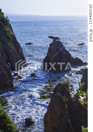 春の浦富海岸の風景 鳥取県 浦富海岸 114460530