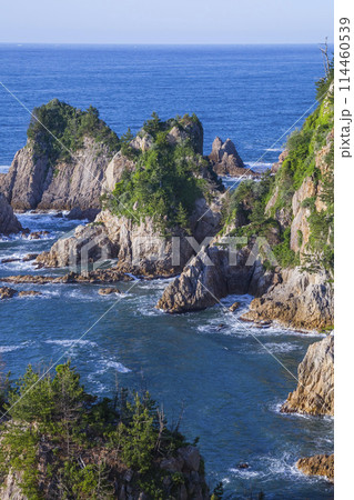 春の浦富海岸の風景 鳥取県 浦富海岸 114460539