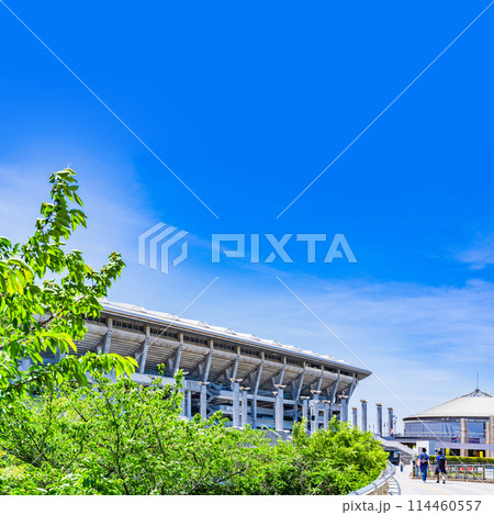 横浜国際総合競技場 横浜スタジアム 日産スタジアム Nissan Yokohama stadium 114460557