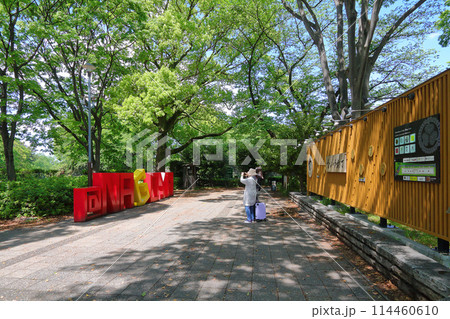 名古屋市　名古屋城駅前のモニュメント 114460610