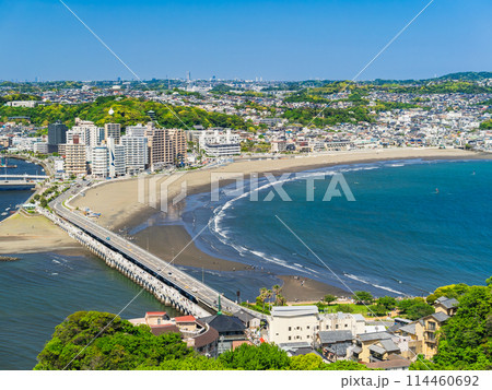江の島大橋と片瀬海岸 江の島大橋と片瀬海岸 114460692