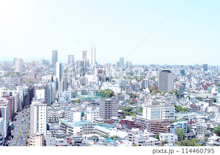 TOKYO（イラスト風） 114460795