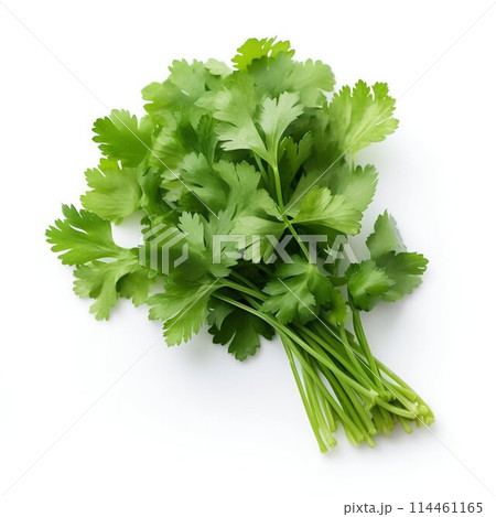 Fresh Coriander Isolated on White. Generative ai 114461165
