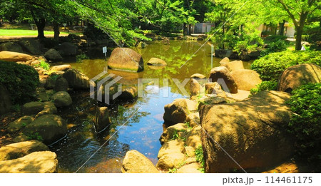 蕨市民公園（埼玉県蕨市塚越）の様々な風景 114461175