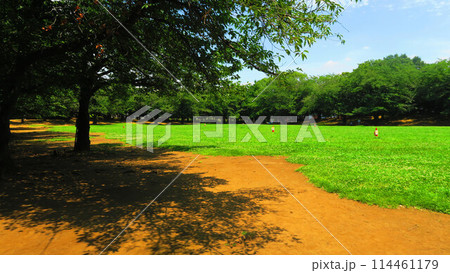 蕨市民公園(埼玉県蕨市塚越)の様々な風景 蕨市民公園(埼玉県蕨市塚越)の様々な風景 114461179