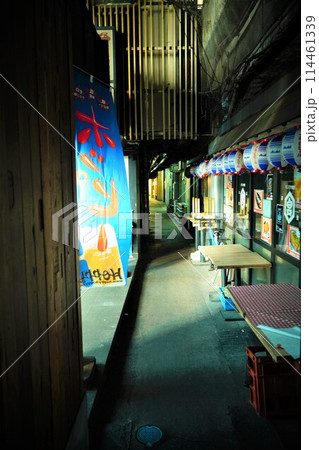 有楽町の歓楽街の静けさ 有楽町の歓楽街の静けさ 114461339