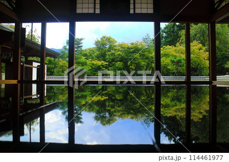 夏の宝徳寺 114461977