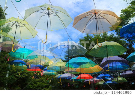 夏の宝徳寺 114461990