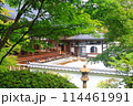 夏の宝徳寺 114461991