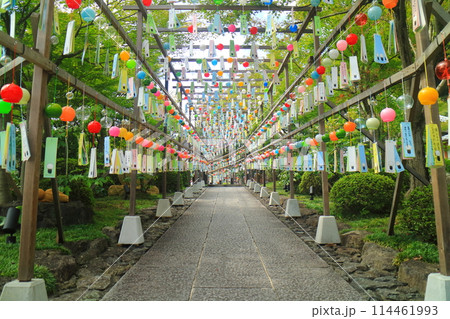 夏の宝徳寺 114461993