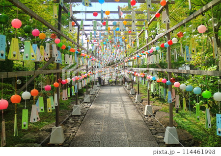 夏の宝徳寺 夏の宝徳寺 114461998