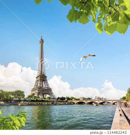 Bridge d'Iéna and Eiffel Tower Bridge d'Iéna and Eiffel Tower 114462243