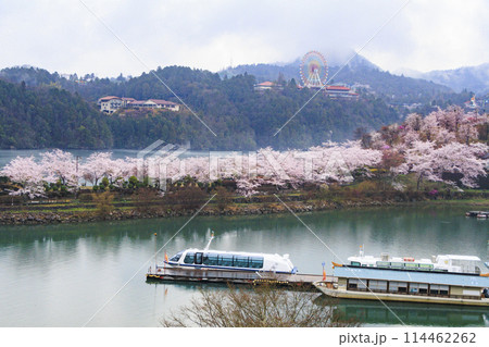 桜満開の恵那峡 桜満開の恵那峡 114462262