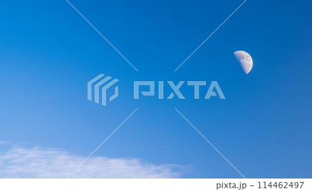 真昼の空に浮かぶ半月 真昼の空に浮かぶ半月 114462497