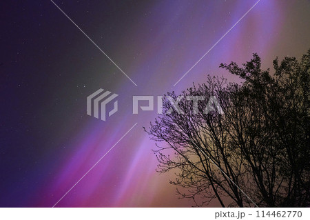 Beautiful polar lights in Olstrup, Denmark in May 2024 114462770